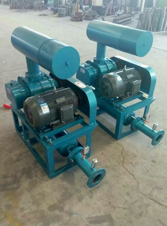 羅茨風(fēng)機WSR-200